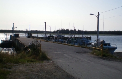 Nov-08-008.JPG