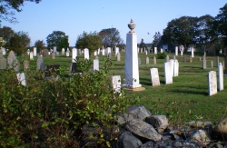 Nov-08-012.JPG
