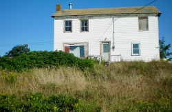Nov-08-024.JPG