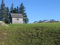 sar-0047.JPG