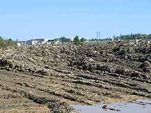 site3s.jpg